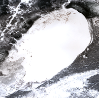 Leaf Lake - Feb 14, 2026