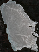 Big Sandy Lake - May 06, 2026