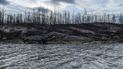 a lot of recent burn is all over the lake