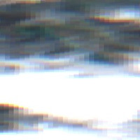 Shannon Lake - Jul 24, 2026
