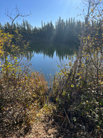 View of the pond.