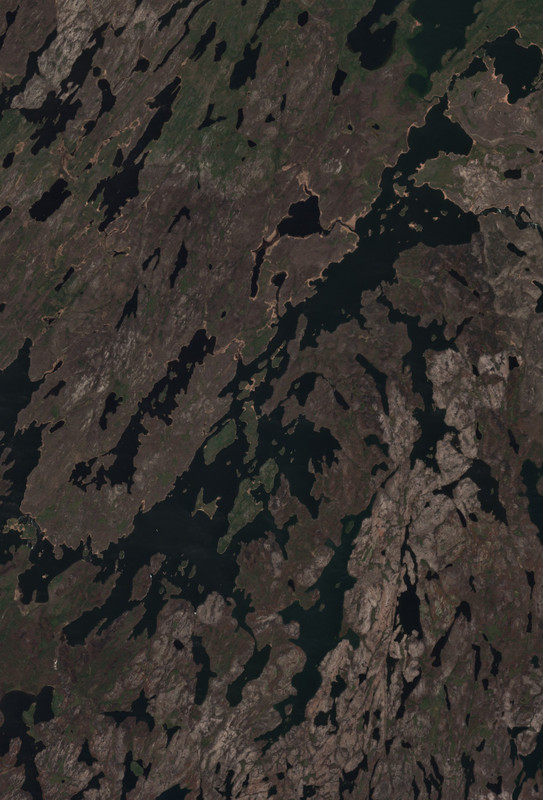 Trout Lake - May 24 - May 31