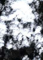 Daly Lake - May 19, 2026
