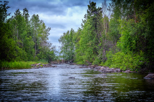 A large beaver dam leaving Malchow lake