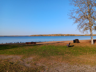 Benches, and garbage cans at the beach.