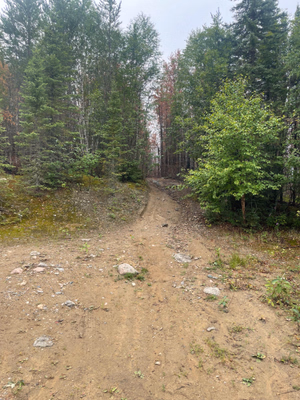 View of the trailhead.