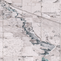 Nickle Lake - Feb 22, 2026