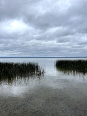 Shoreline at campground.