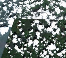 Primrose Lake - Jul 24, 2026