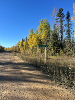 Sign on the road into the lake.