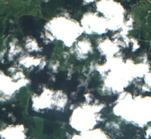Deer Lake - Jul 24, 2026