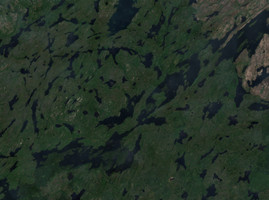 Forbes Lake