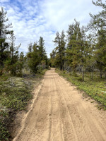 One of the roads through the Nisbet Trail Recreation Area.