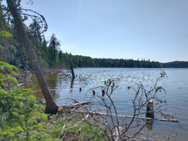 Lake shoreline.