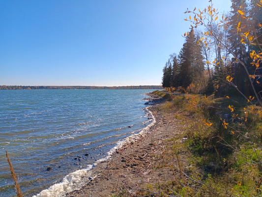 Lions Beach
