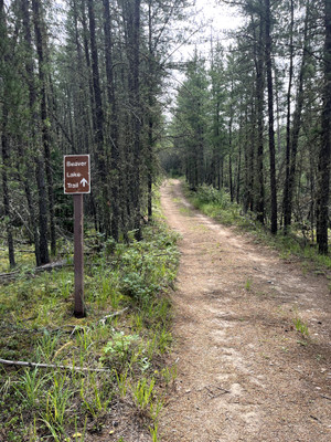 Sign on the road into the lake.