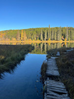 Boat launch and broken dock.