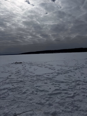 Green Lake March 21, 2026
No fish but beauty of a day
