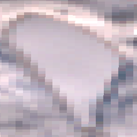 Pine Lake - Dec 12, 2025