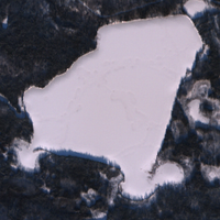 Matheson Lake - Dec 20, 2025