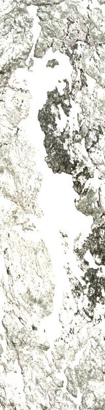 Harvey Lake - May 06 - May 22