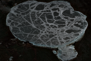 Keeley Lake - May 09, 2026