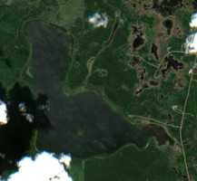 Deer Lake - Jul 24, 2026