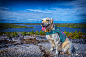 Hiking the Burnt Sturdy Island
