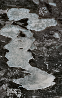 Whiteswan Lakes - May 01, 2026