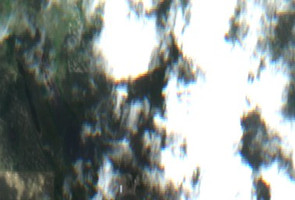 Lovering Lakes