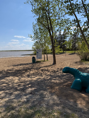 Nickle Lake Regional Park Beach