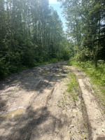 Muddy road to lake.