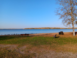 Benches, and garbage cans at the beach.