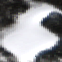 Pear Lake - Feb 20, 2026
