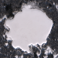 Round Lake - Jan 24, 2026
