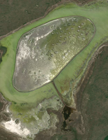 Crane Lake