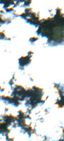 Jeannette Lake - Jul 24, 2026