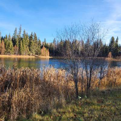 Musker Pond at Candle Lake Provincial Park 