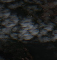 Parr Hill Lake - May 20, 2026