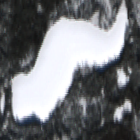 Ted's Lake - Feb 20, 2026