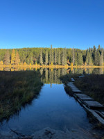 Primitive boat launch and broken down old dock.