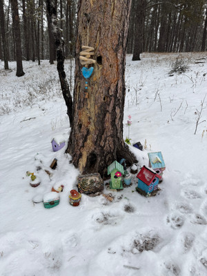 Looks like some fairies have moved onto the trail! Cool spot for the kids to check out.