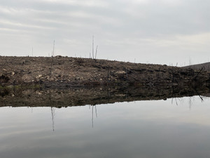 Another Burn Photo