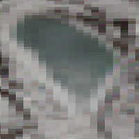 Pine Lake - Apr 21, 2026