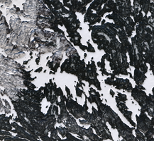 Carruthers Lake - Feb 12, 2026