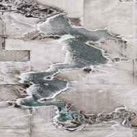Brightwater Reservoir - Feb 10, 2026