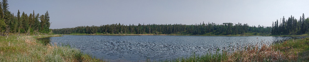 Panorama of the lake