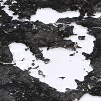 Ness Lakes - Feb 20, 2026