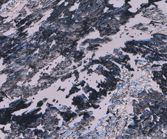 Trout Lake - Jan 01, 2026