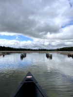 Remains of the old rail bridge on the lake